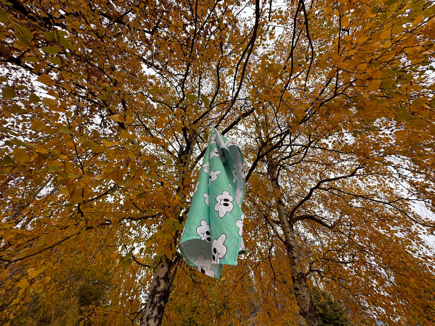 *Mint* Cloudy Bandana
