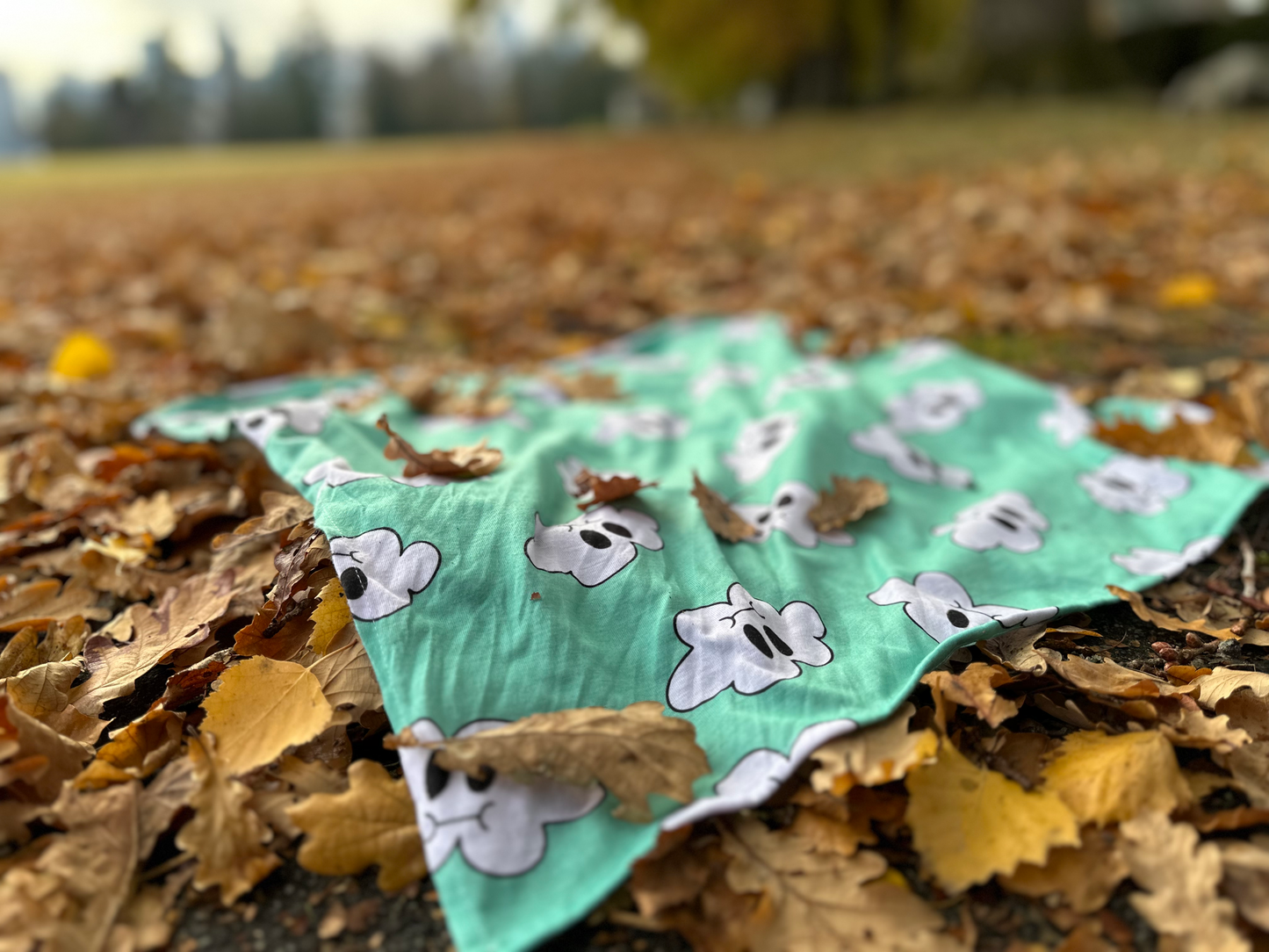 *Mint* Cloudy Bandana