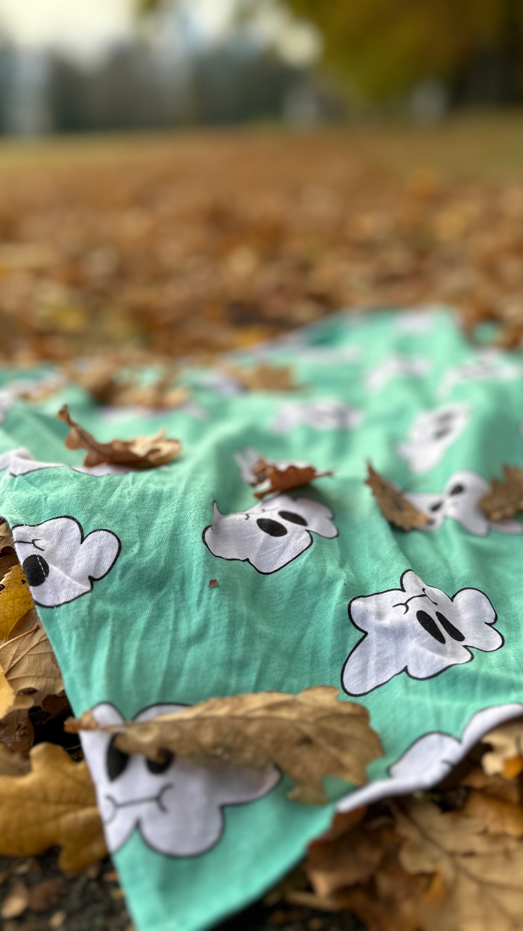 *Mint* Cloudy Bandana